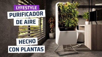 [CH] Purificador de aire hecho con plantas