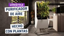 [CH] Purificador de aire hecho con plantas