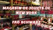 NEW YORK Le Magasin de jouets FAO SCHWARZ