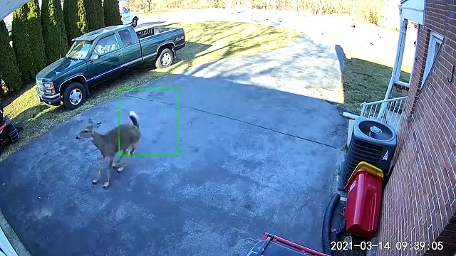 Quand 5 biches veulent à tout prix rentrer dans ton garage