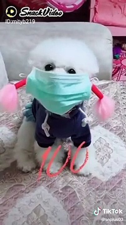 Funny video just watch