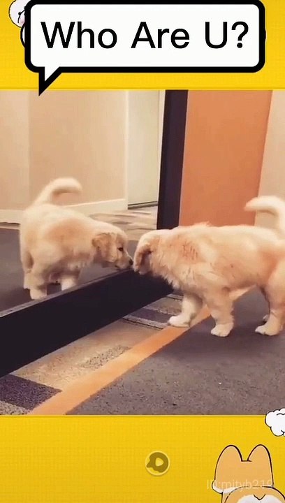 Who are you?