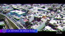 La conexión de Robi Draco Rosa con Colombia