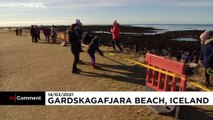 Le cadavre d'une baleine échouée en Islande attise la curiosité