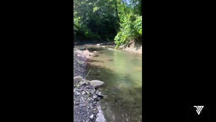 Memes That Made Mr.Beast Go Brrrrrrrrrrrr| Meme 17