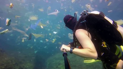 José Eustaquio Pérez y la contaminación marina