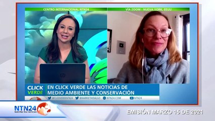 Animalistas rechazan cacería masiva de lobos en Wisconsin, EEUU