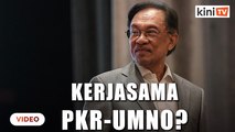 Anwar sahkan perbincangan tak rasmi Umno-PKR, ulas petang ini