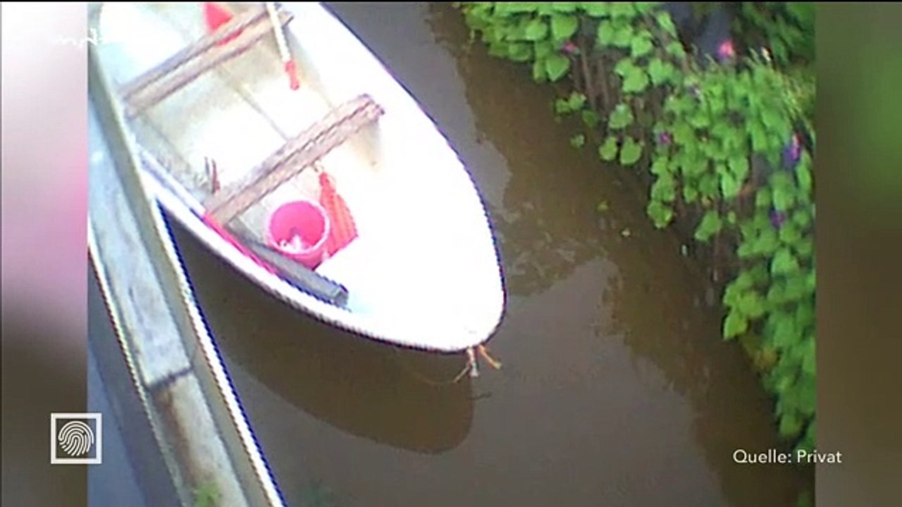 Kripo-live 14.03.2021