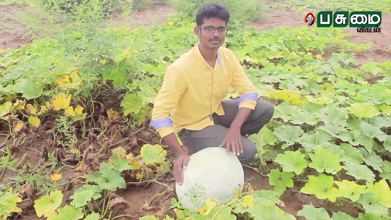 மானாவாரியாக நெல், சோளம்... சாதித்த கரூர் இன்ஜினீயர்!