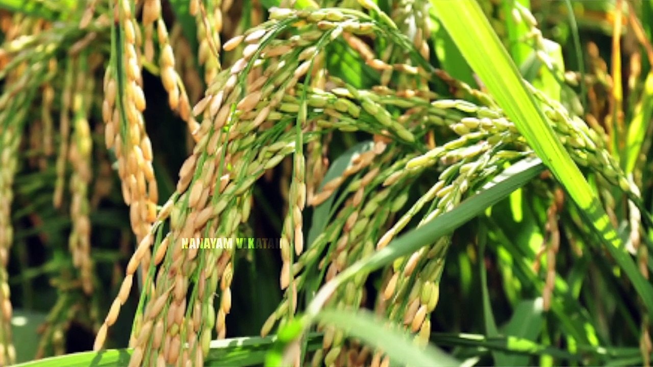 இந்தத் தப்புகளை எல்லாம் செஞ்சீங்கன்னா,  பின்னால ரொம்ப வருத்தப்படுவீங்க!