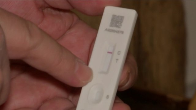 Autotests : mode d'emploi