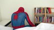 12. SPIDER-MAN and VENOM (Episode 1) Comfortable Oh Very Good Venom chuyển đến ở với Người Nhện