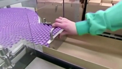 Government sticks by national rollout, despite concerns