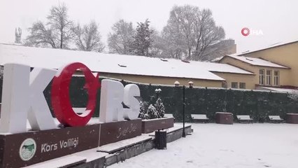 Kars'ta yoğun kar yağışı