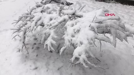 Kars beyaza büründü