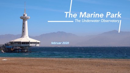 На самолете в Эйлат - 2. Обсерватория / The Marine Park