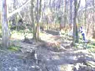 Bois des cotes