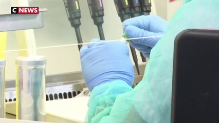 Variant breton du coronavirus : ce que l’on sait