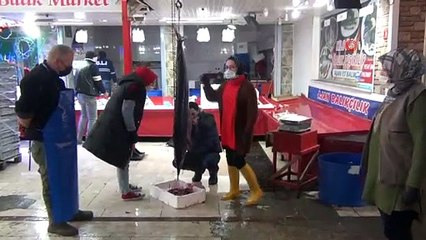 Tavşanlı'da dev Zargana balığı görenlerin ilgini çekiyor