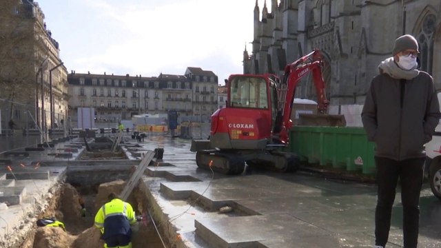 Bordeaux : les arbres de la discorde