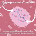 Pastille 8 vaccins - Un vaccin peut-il modifier mon ADN ?