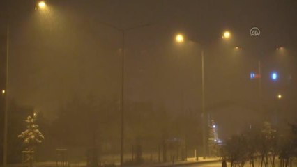 Doğu Anadolu'da kar yağışı etkili oldu