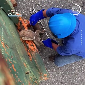 Seja sempre gentil com os pequenos, não importa o ser humano ou animais