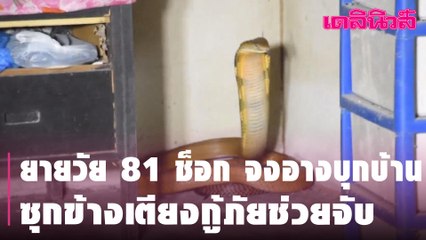 ยายวัย 81 ช็อก จงอางบุกบ้าน ซุกข้างเตียงกู้ภัยช่วยจับ | Dailynews l 160364