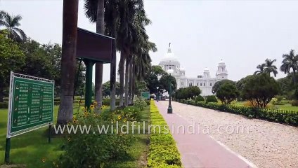 Victoria Memorial Kolkata - modern day 4K memories of the British Raj