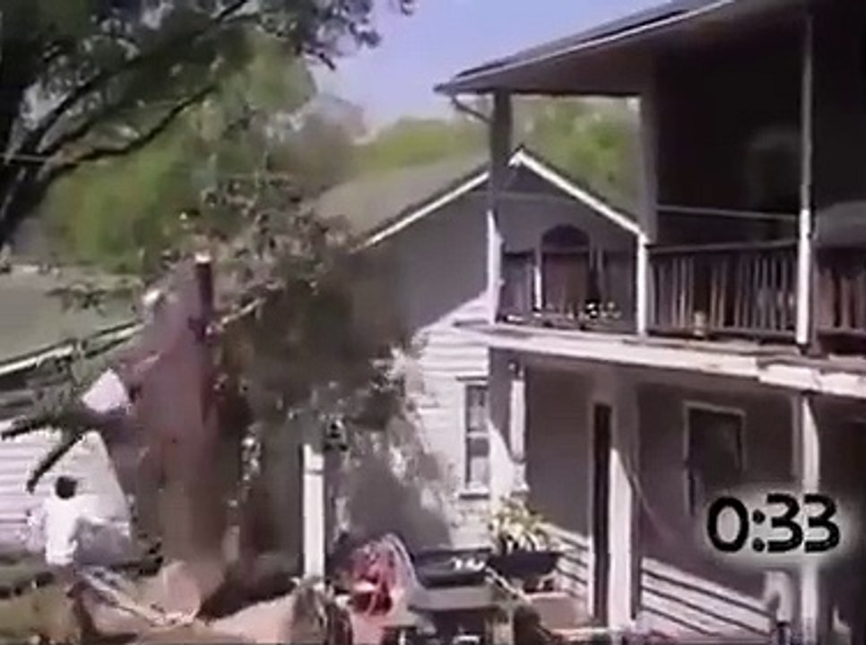 Tuhaf ağaç kesme kazaları