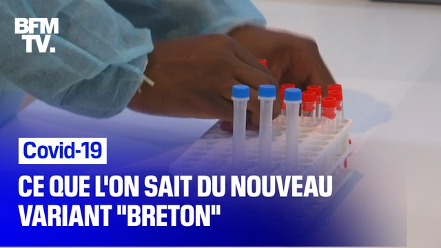 Variant breton : 3 questions au chef du service des maladies infectieuses du CHU de Rennes