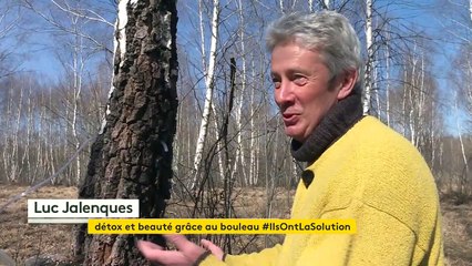 Star des cures détox, la sève de bouleau fait son entrée en cosmétique