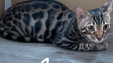 เรื่องพลบค่ำ ช่วงที่ 4 วันอังคารที่ 16 มี.ค.64