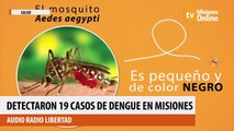 Detectaron 19 casos de dengue en Misiones