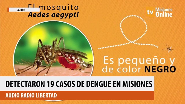Detectaron 19 casos de dengue en Misiones