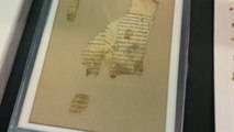 Israel muestra fragmentos de rollo bíblico milenario hallados en Cisjordania