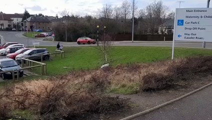 Brain Allan's charity run