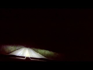 Close Call as Deer Dash Across Road