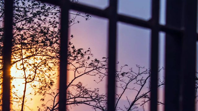 Common Spring Cleaning Mistakes You Need To Avoid