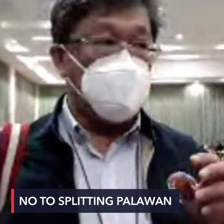 ‘No’ votes win in Palawan plebiscite