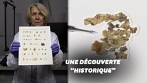 Des fragments de parchemin vieux de 2000 ans découverts en Cisjordanie