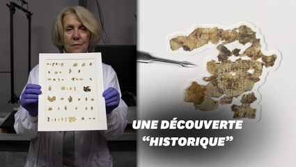 Des fragments de parchemin vieux de 2000 ans découverts en Cisjordanie