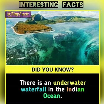 fun facts