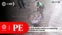 Capturan a sujeto que robó hasta el perrito de unos jóvenes en Comas | Primera Edición