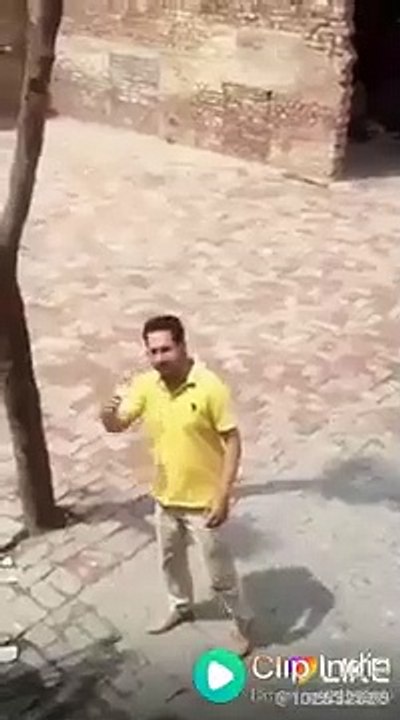 funny video 2021