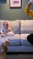 BABIES meet CATS and DOGS for FIRST TIME!