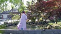 Song Dynasty Hanfu Traditional Chinese Hanfu Dress