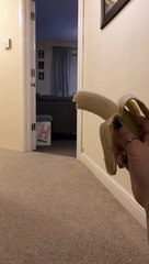 Funny Baby Loves BANANA - Cute Babies Eating Video