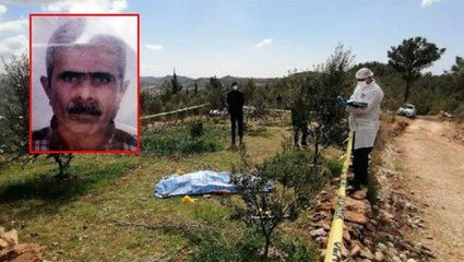 Zeytin ağaçlarını kestiği gerekçesiyle tartıştığı abisini tüfeğiyle öldürdü